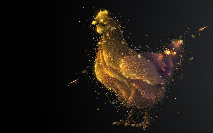 A golden chicken 